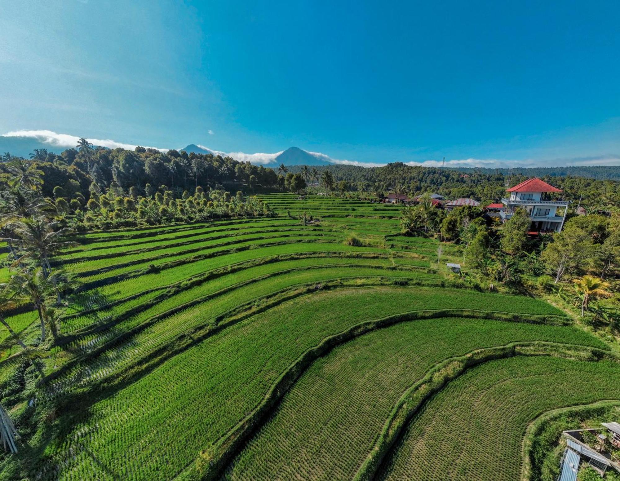Candra Cottage 姆杜克 外观 照片